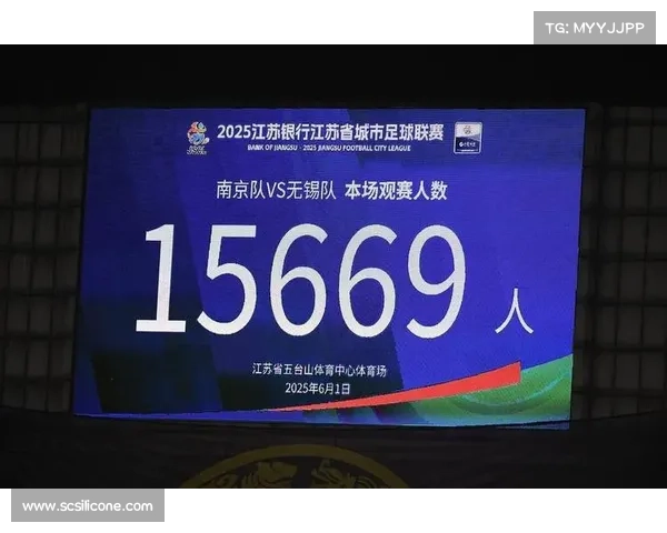 解码江苏 “十三太保”:十三个独特基因如何铸就不可复制的 “苏超” 传奇 解码江苏 “十三太保”:十三个独特基因如何铸就不可复制的 “苏超” 传奇