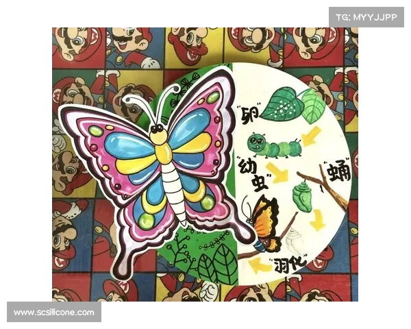 倒计时 30 天!以笔为剑,破茧成蝶:冲刺阶段全攻略 倒计时 30 天!以笔为剑,破茧成蝶:冲刺阶段全攻略