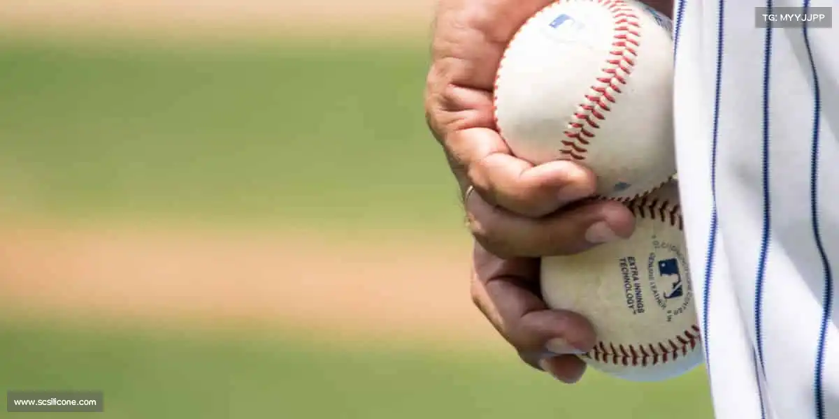 行业领先的理由